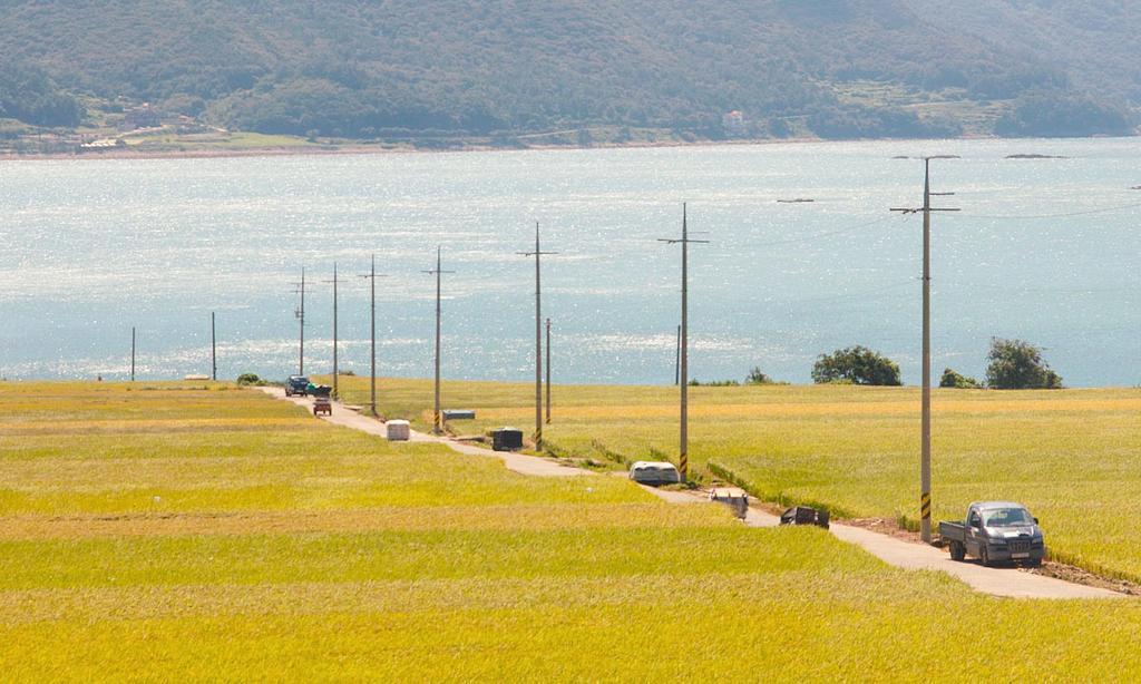 American Village Pension Manoa Namhae Rum bild